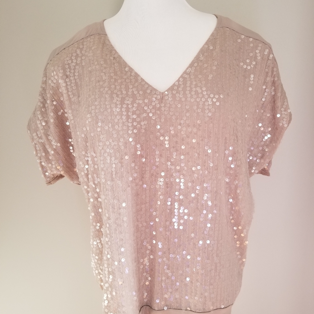 Express Sequin V-Neck Blouse in Light Pink